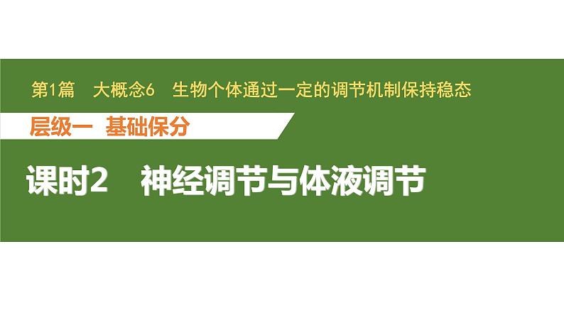 新教材2024届高考生物二轮复习6课时2神经调节与体液调节课件01