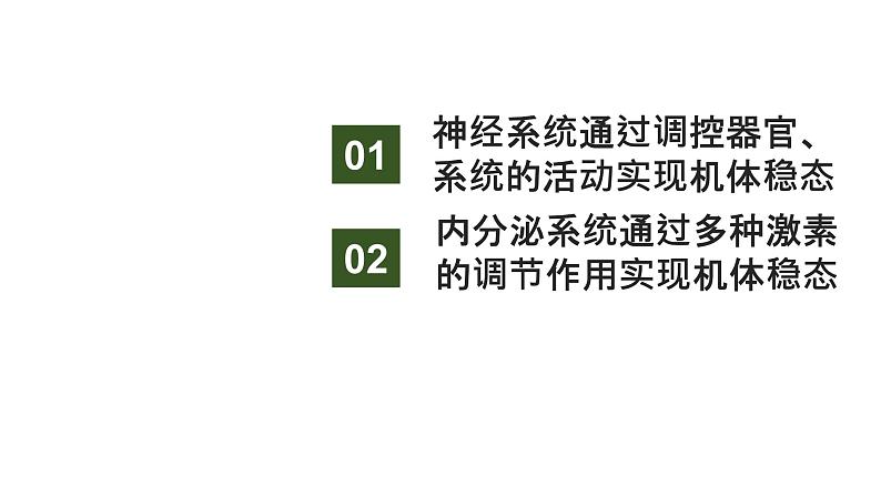 新教材2024届高考生物二轮复习6课时2神经调节与体液调节课件02