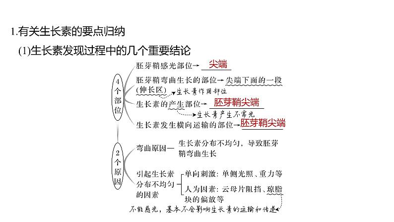 新教材2024届高考生物二轮复习6课时3植物生命活动受到激素等多种因素的调节课件03