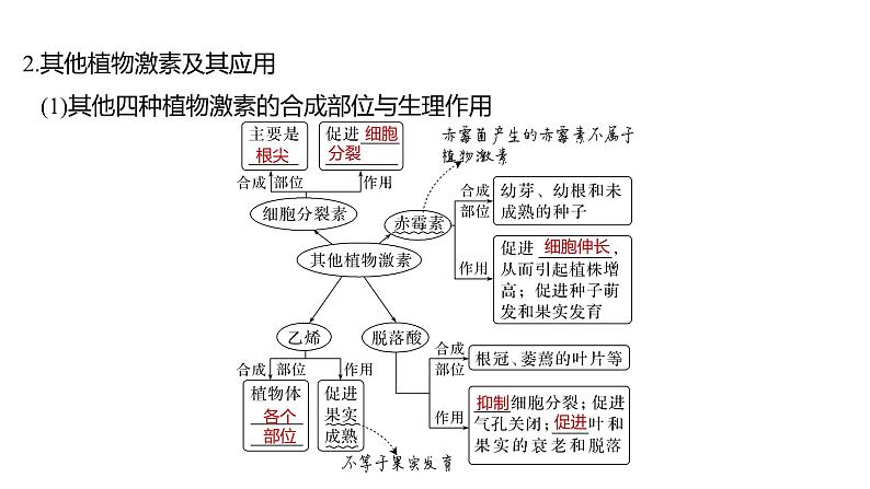 新教材2024届高考生物二轮复习6课时3植物生命活动受到激素等多种因素的调节课件07