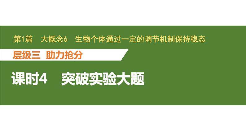 新教材2024届高考生物二轮复习6课时4突破实验大题课件第1页