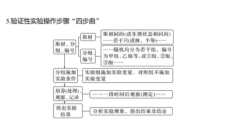 新教材2024届高考生物二轮复习6课时4突破实验大题课件第8页