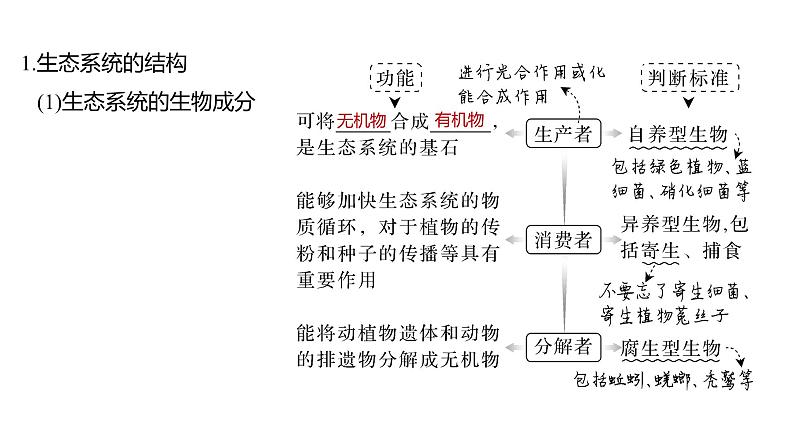 新教材2024届高考生物二轮复习7课时2生态系统是生物群落与非生物环境相互作用的一个整体课件第4页