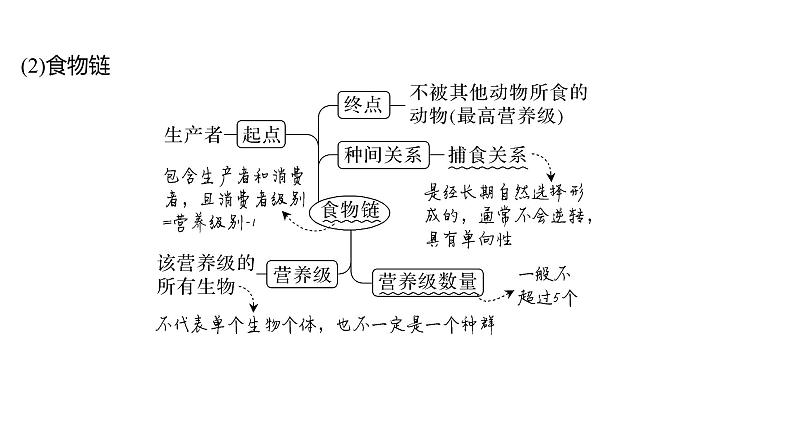 新教材2024届高考生物二轮复习7课时2生态系统是生物群落与非生物环境相互作用的一个整体课件第6页