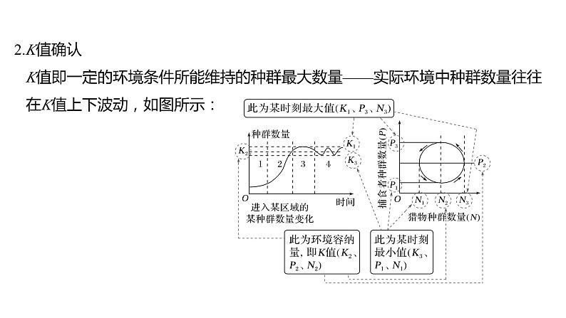 新教材2024届高考生物二轮复习7课时3种群数量增长模型能量流动模型碳达峰和碳中和课件第5页