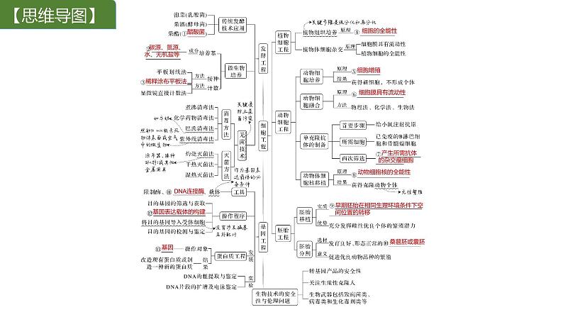 新教材2024届高考生物二轮复习8课时1发酵工程利用目标微生物生产有用的产品课件第2页