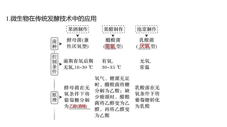 新教材2024届高考生物二轮复习8课时1发酵工程利用目标微生物生产有用的产品课件第4页