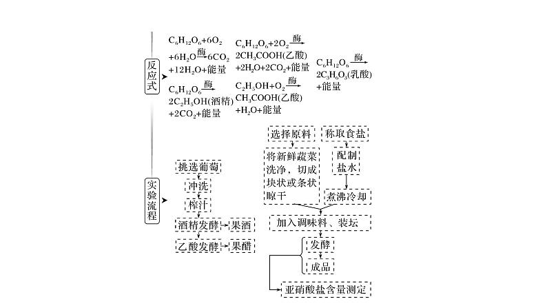 新教材2024届高考生物二轮复习8课时1发酵工程利用目标微生物生产有用的产品课件第5页