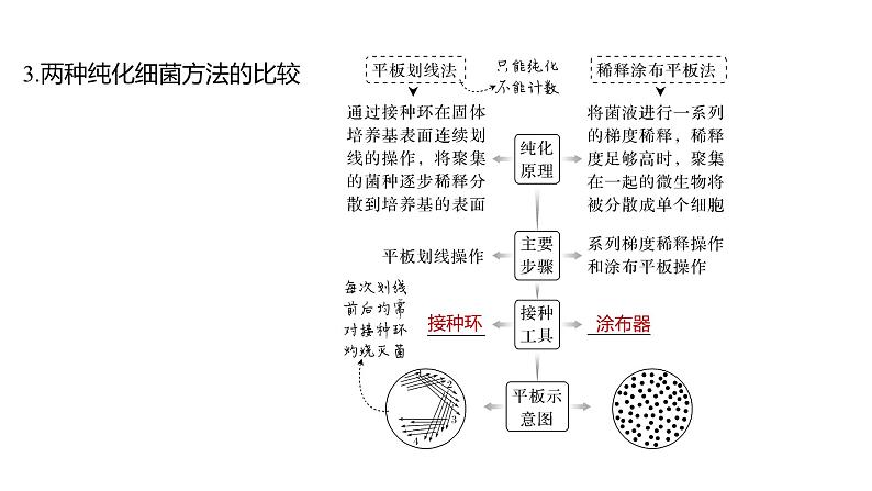 新教材2024届高考生物二轮复习8课时1发酵工程利用目标微生物生产有用的产品课件第7页