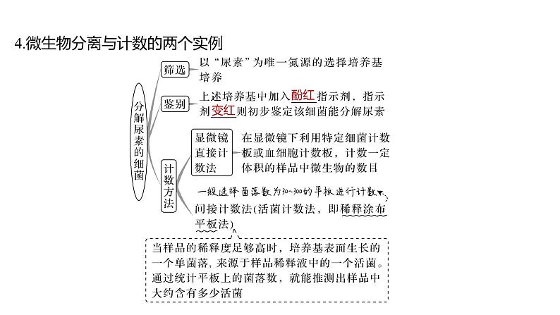 新教材2024届高考生物二轮复习8课时1发酵工程利用目标微生物生产有用的产品课件第8页