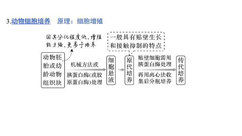 新教材2024届高考生物二轮复习8课时2通过动植物细胞工程获得目标产物课件第6页