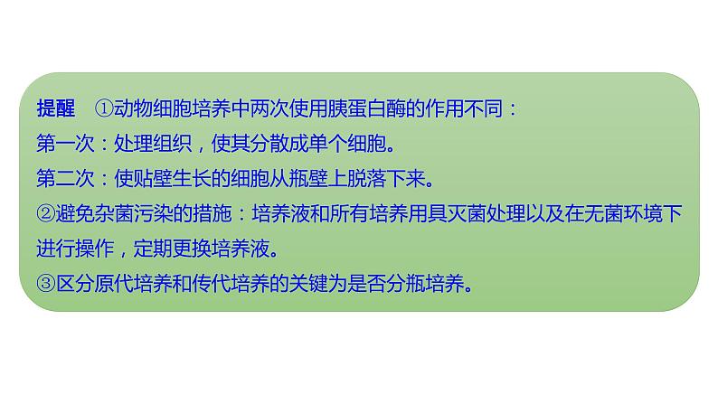 新教材2024届高考生物二轮复习8课时2通过动植物细胞工程获得目标产物课件第7页