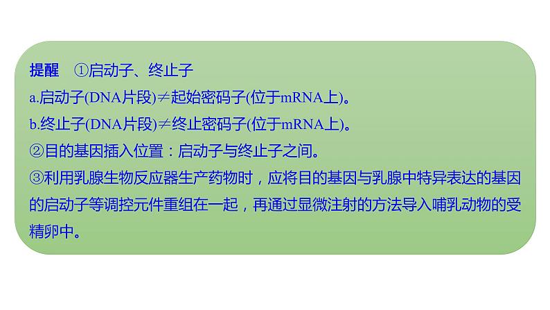 新教材2024届高考生物二轮复习8课时3赋予生物新的遗传特性的基因工程课件06