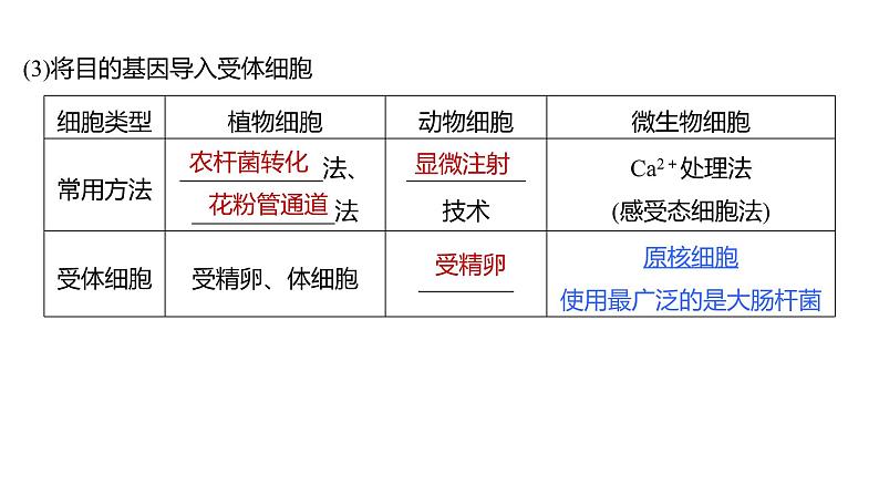 新教材2024届高考生物二轮复习8课时3赋予生物新的遗传特性的基因工程课件07