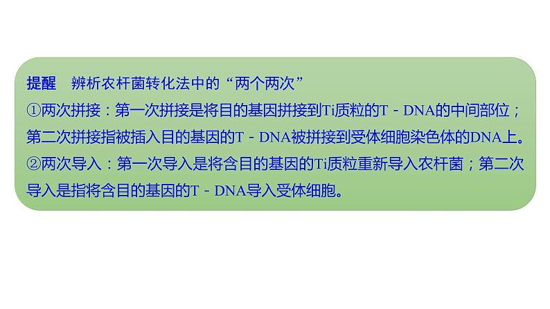 新教材2024届高考生物二轮复习8课时3赋予生物新的遗传特性的基因工程课件08