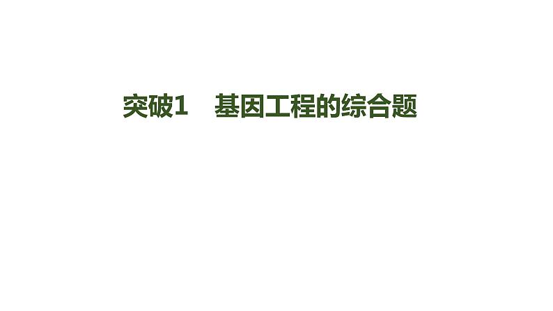 新教材2024届高考生物二轮复习8课时4突破基因工程类大题课件第3页