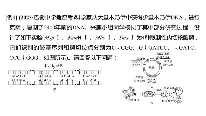 新教材2024届高考生物二轮复习8课时4突破基因工程类大题课件第6页