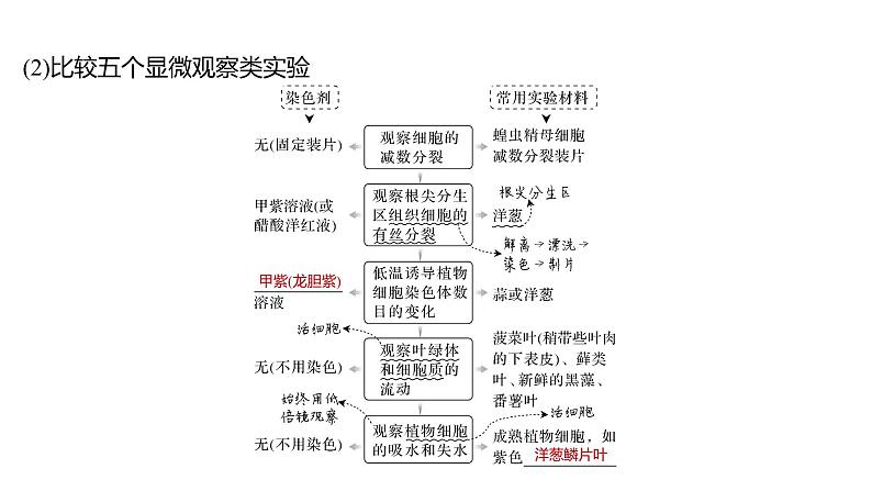 新教材2024届高考生物二轮复习9课时1把握常规实验的基本流程及思路和方法课件06