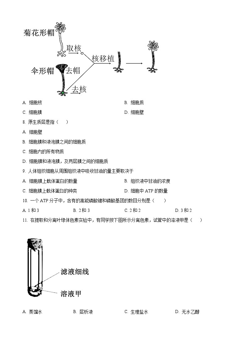 2024年湖南省娄底市普通高中学业水平合格性考试(二) 生物试题（原卷版+解析版）02