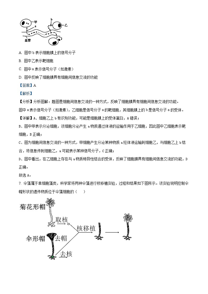 2024年湖南省娄底市普通高中学业水平合格性考试(二) 生物试题（原卷版+解析版）03