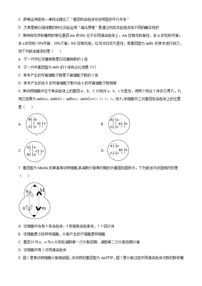 江苏省苏州市张家港市2023-2024学年高一下学期4月期中生物试题（原卷版）第2页
