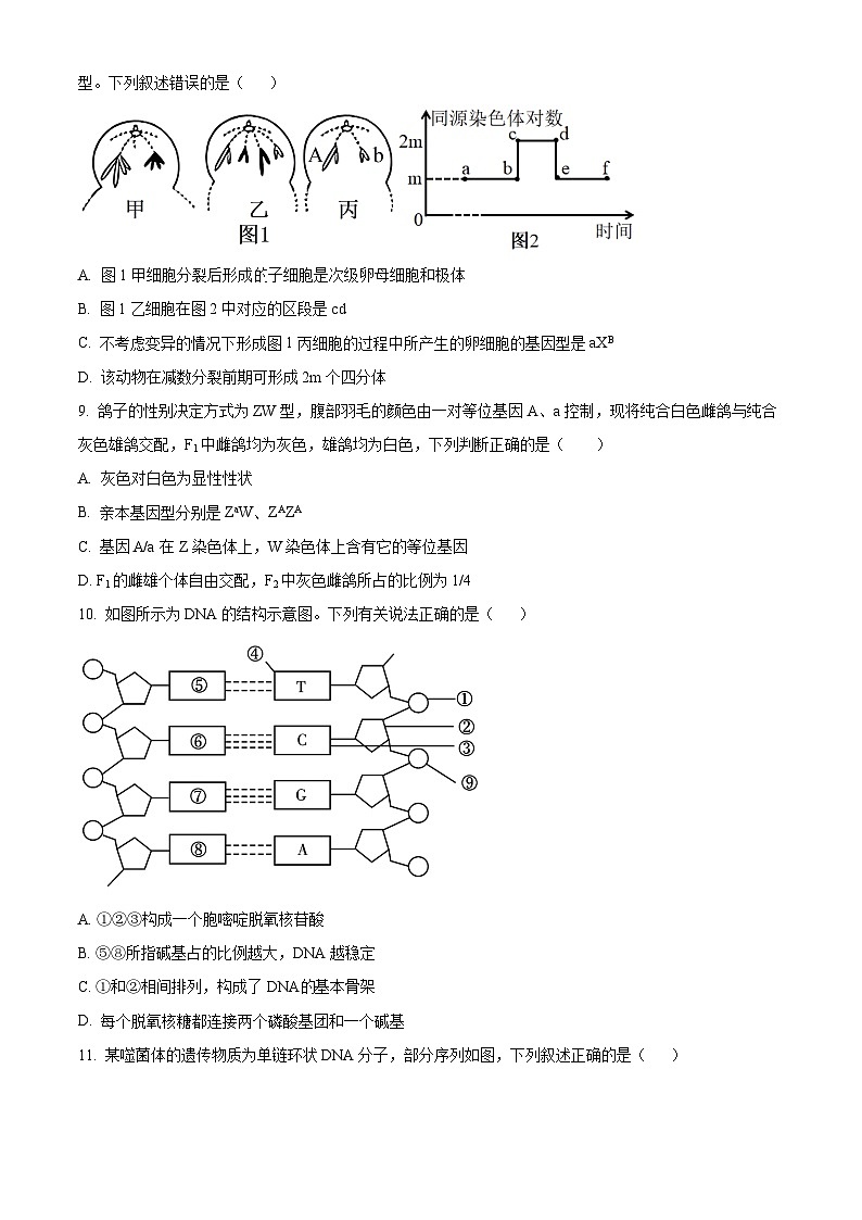江苏省苏州市张家港市2023-2024学年高一下学期4月期中生物试题（原卷版）第3页