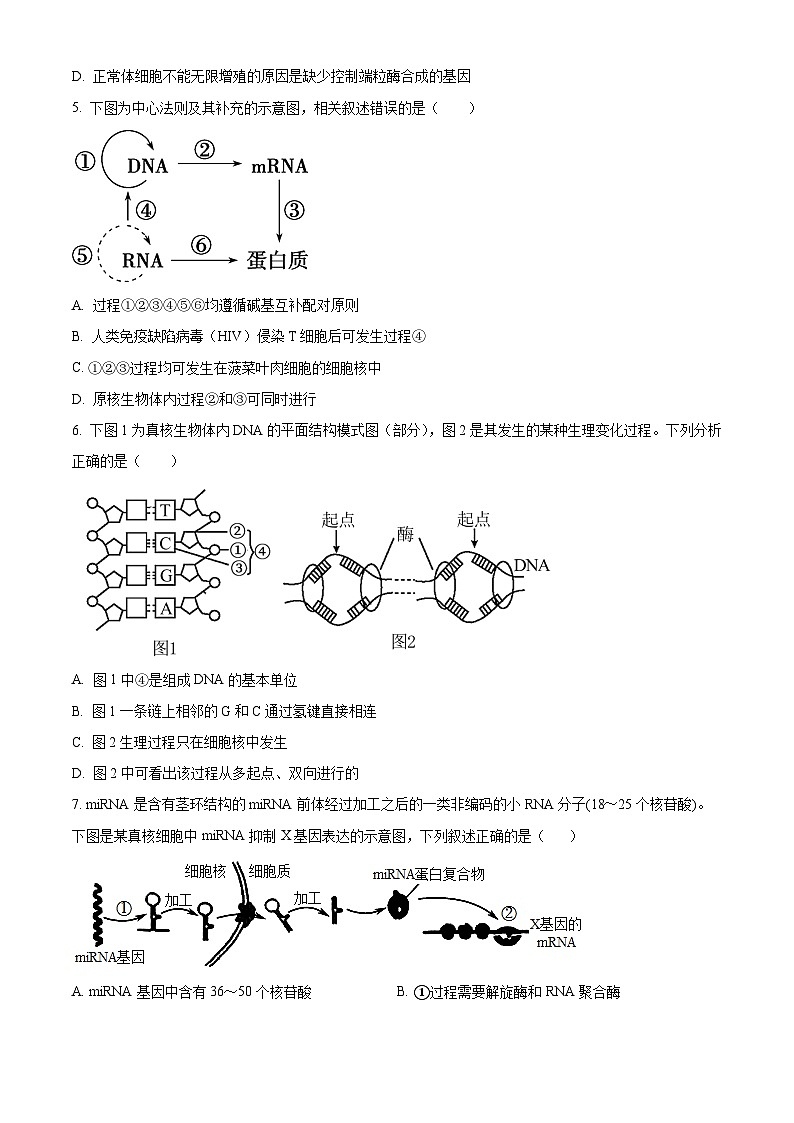 江苏省无锡市江阴南菁高中2023-2024学年高一下学期期中考试生物试卷（原卷版+解析版）02