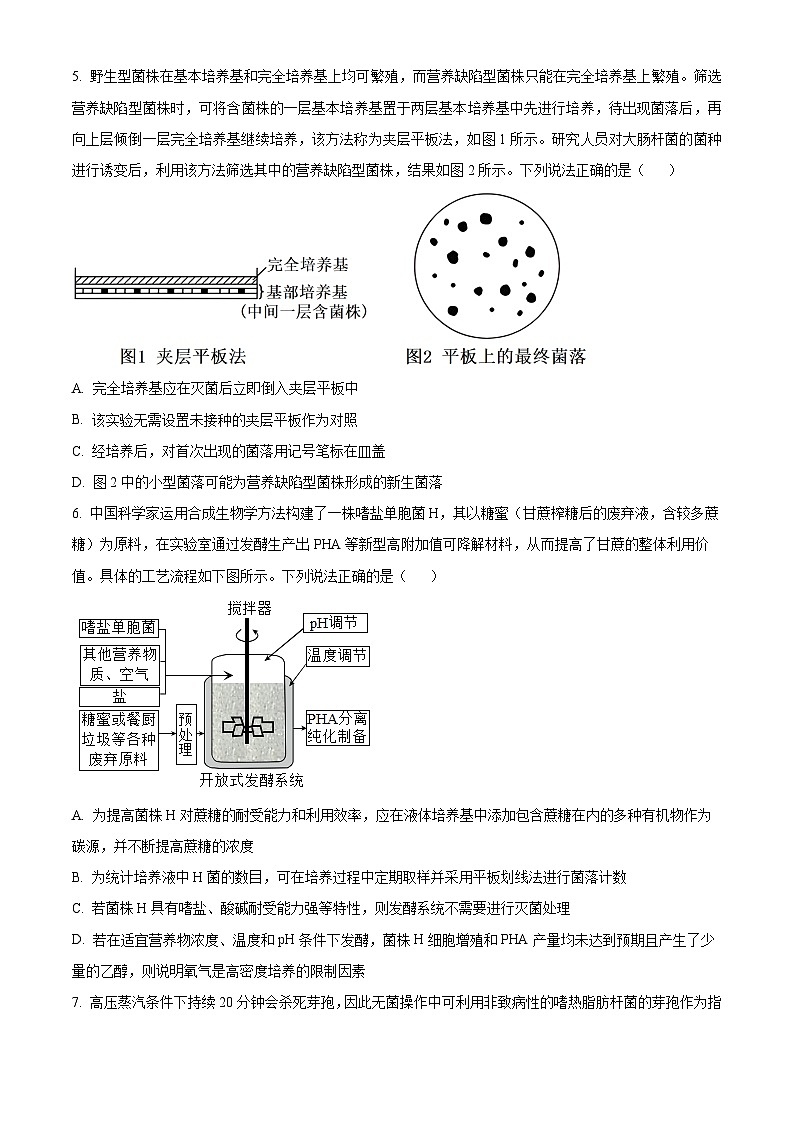 山东省枣庄市滕州市2023-2024学年高二下学期4月期中生物试题（原卷版+解析版）02