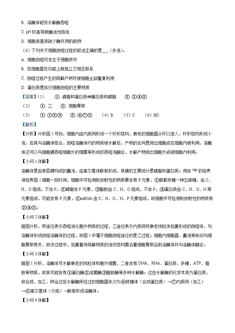 上海市闵行区2023-2024学年高二下学期4月期中生物试题（解析版）第2页