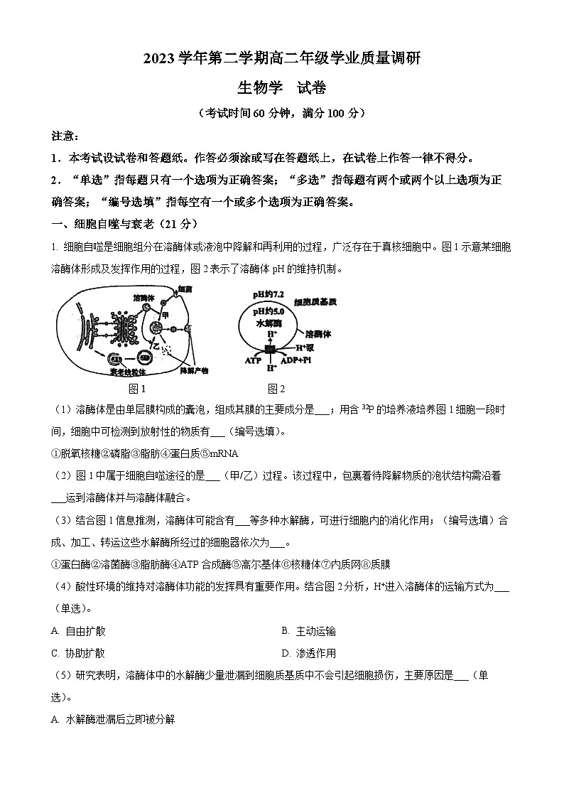 上海市闵行区2023-2024学年高二下学期4月期中生物试题（原卷版）第1页
