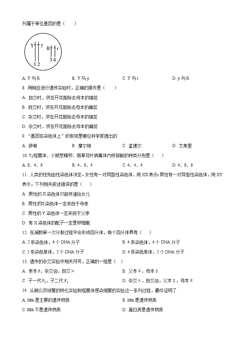 新疆兵团第三师图木舒克市鸿德实验学校2023-2024学年高一下学期期中考试生物试卷（原卷版）第2页