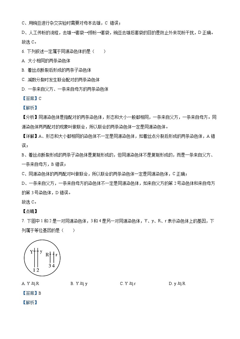 新疆兵团第三师图木舒克市鸿德实验学校2023-2024学年高一下学期期中考试生物试卷（解析版）第3页