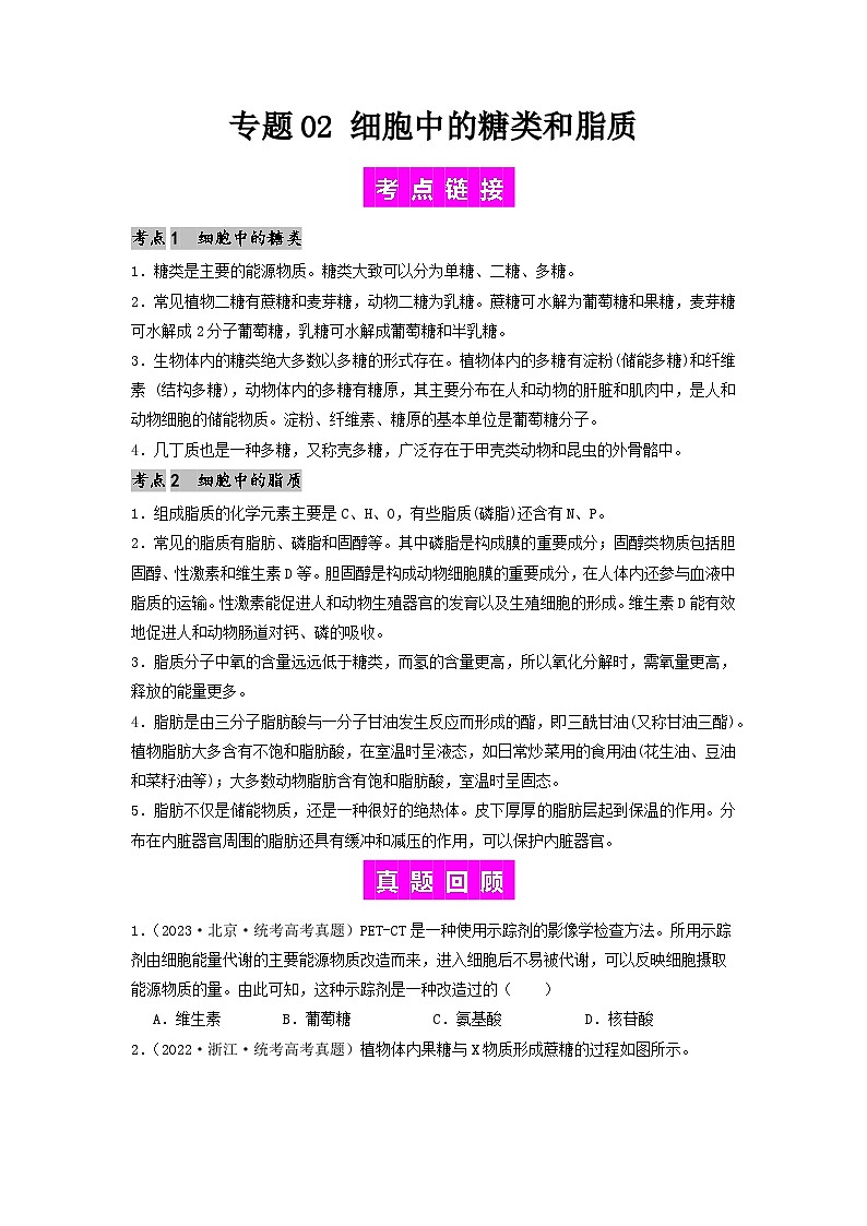 专题02 细胞中的糖类和脂质（原卷版）第1页