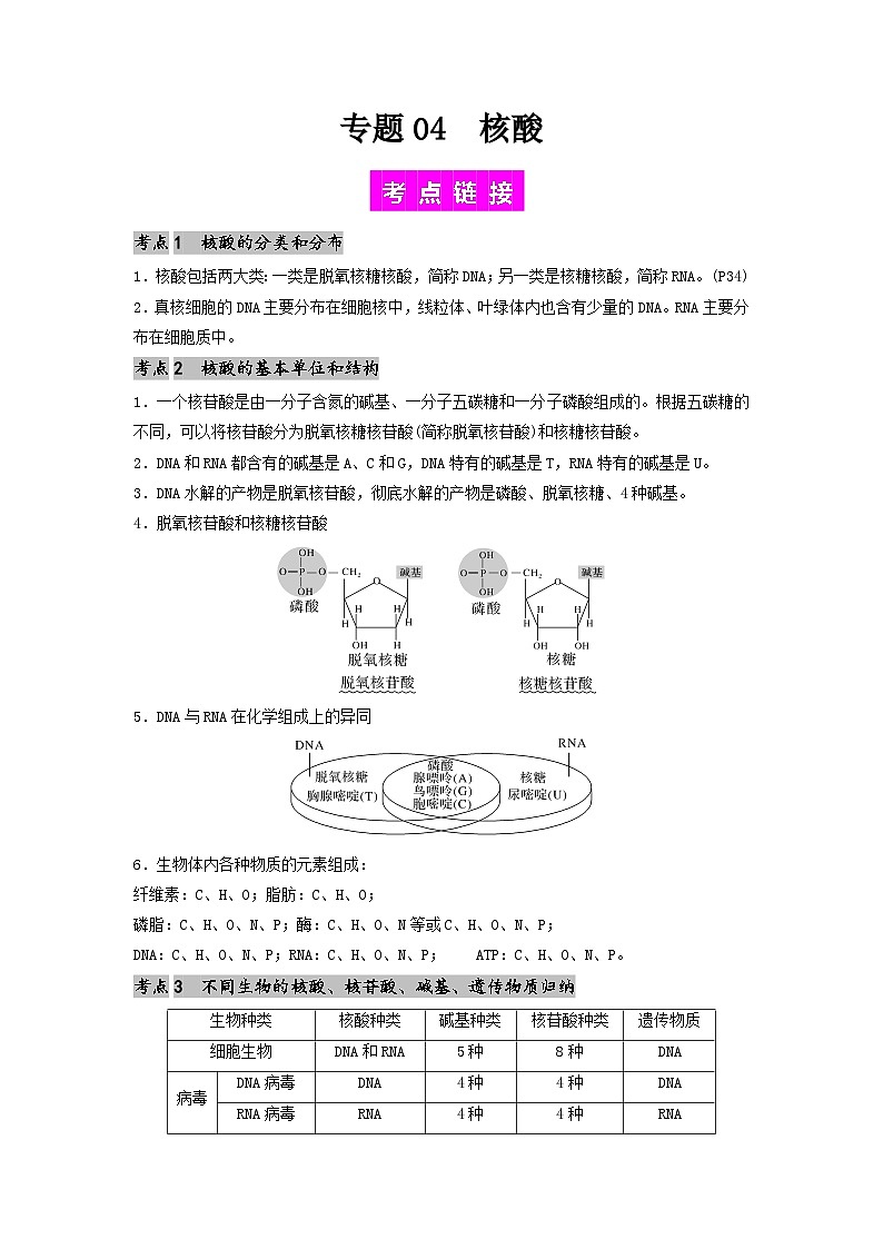 专题04 核酸-备战2024年高考生物一轮复习抢分特训（全国通用）01