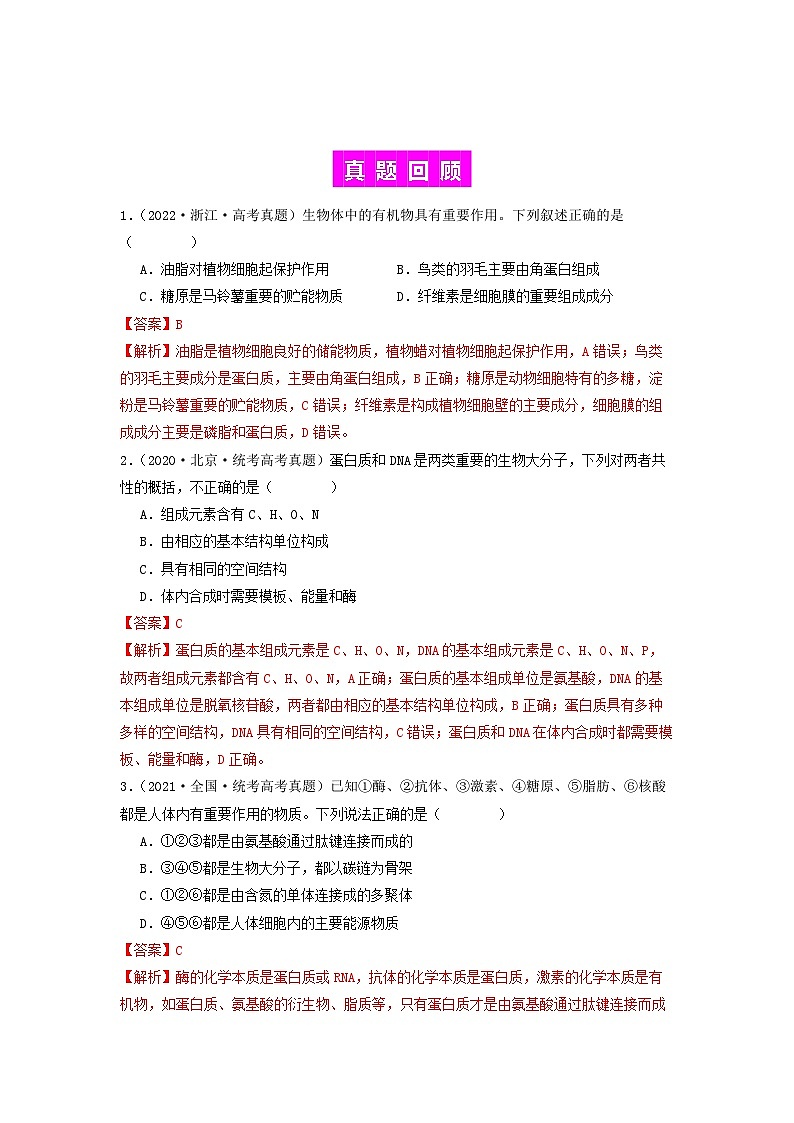 专题04 核酸-备战2024年高考生物一轮复习抢分特训（全国通用）02