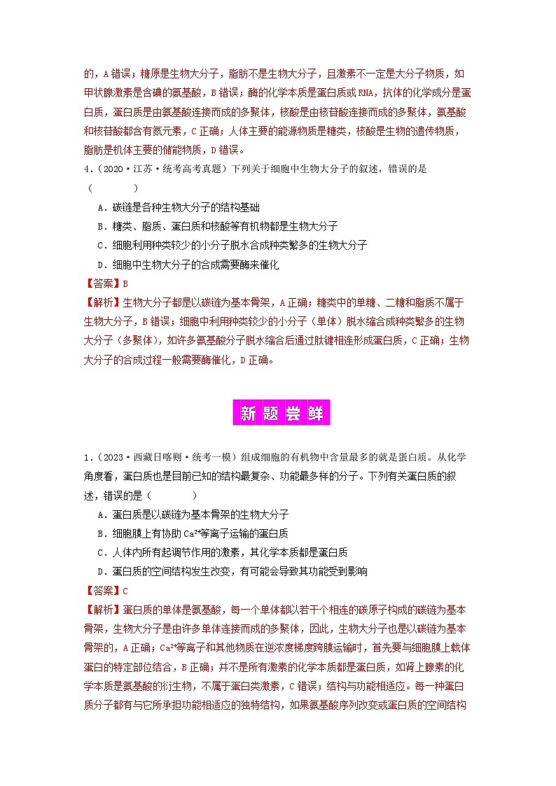 专题04 核酸-备战2024年高考生物一轮复习抢分特训（全国通用）03