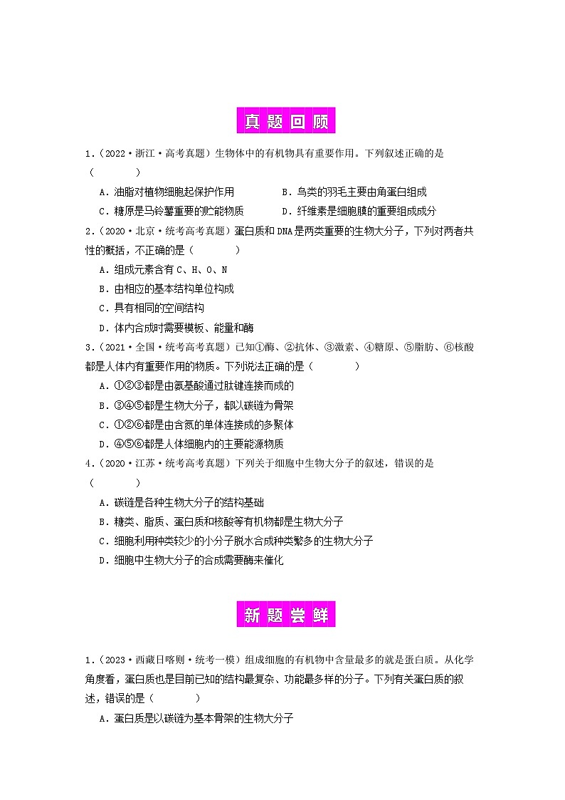 专题04 核酸-备战2024年高考生物一轮复习抢分特训（全国通用）02