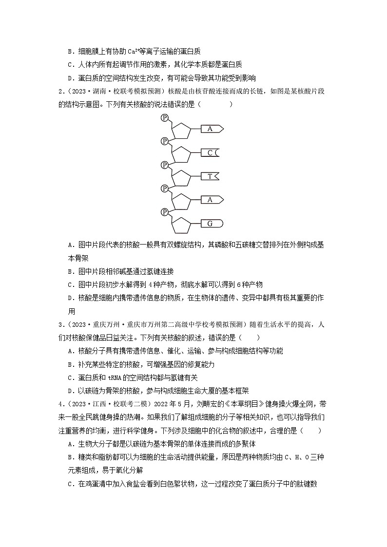 专题04 核酸-备战2024年高考生物一轮复习抢分特训（全国通用）03