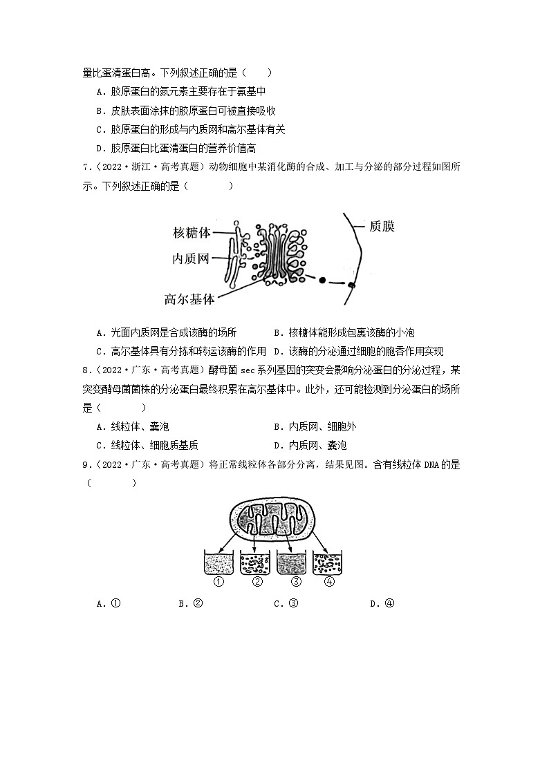 专题06 细胞器（原卷版）第3页