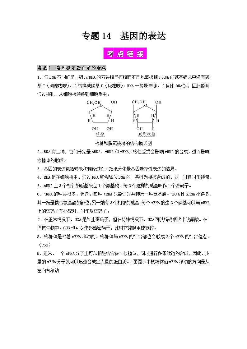 专题14 基因的表达-备战2024年高考生物一轮复习抢分特训（全国通用）01