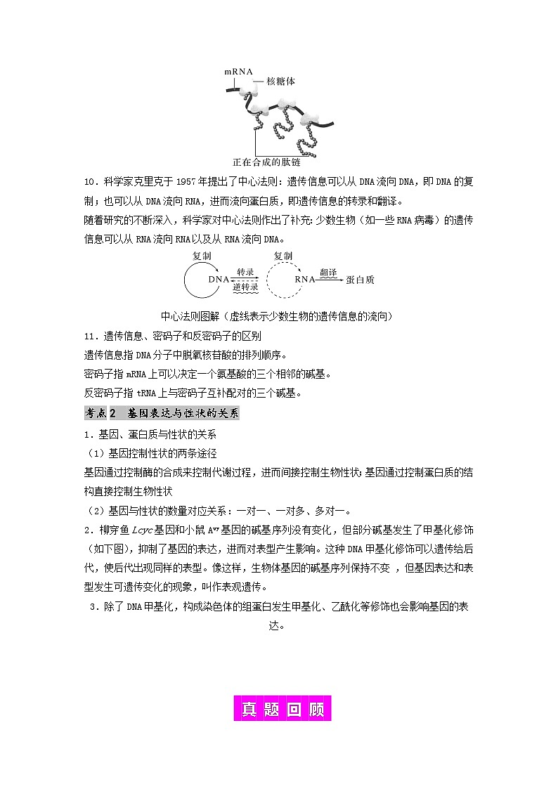 专题14 基因的表达-备战2024年高考生物一轮复习抢分特训（全国通用）02