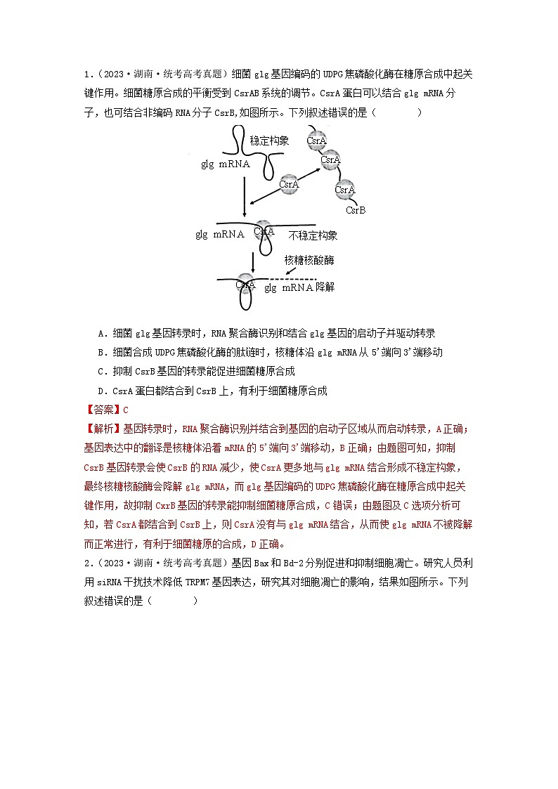 专题14 基因的表达-备战2024年高考生物一轮复习抢分特训（全国通用）03