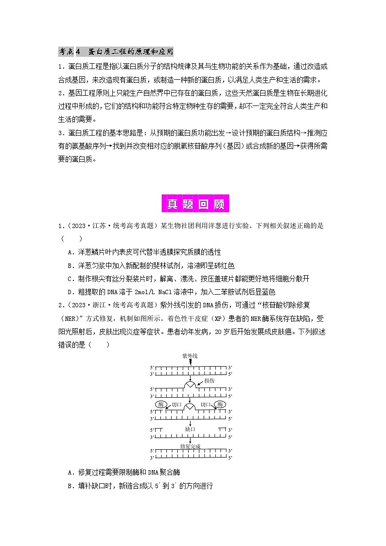 专题24 基因工程-备战2024年高考生物一轮复习抢分特训（全国通用）03