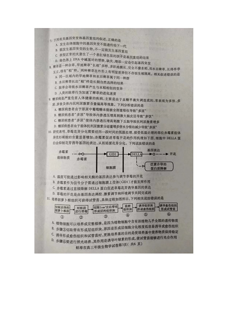 2024届安徽省蚌埠市高三下学期第四次教学质量检测考试（滁州二模）生物试卷03