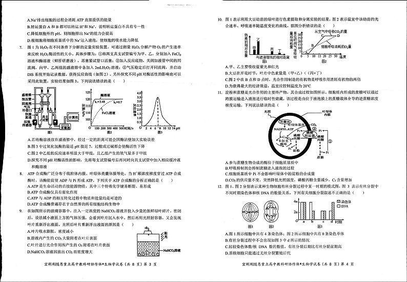 生物-湖北省宜荆荆随恩2023-2024学年高一下学期3月联考试题及答案02