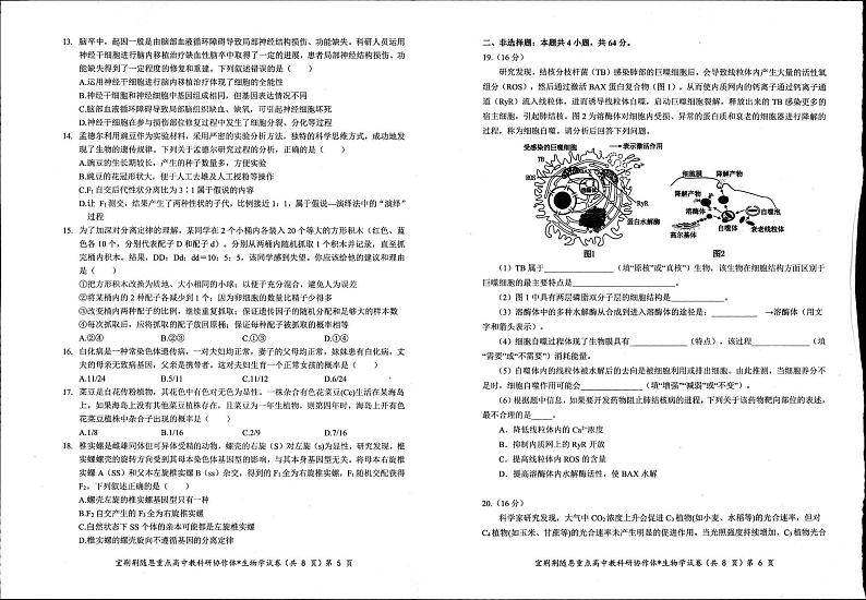 生物-湖北省宜荆荆随恩2023-2024学年高一下学期3月联考试题及答案03