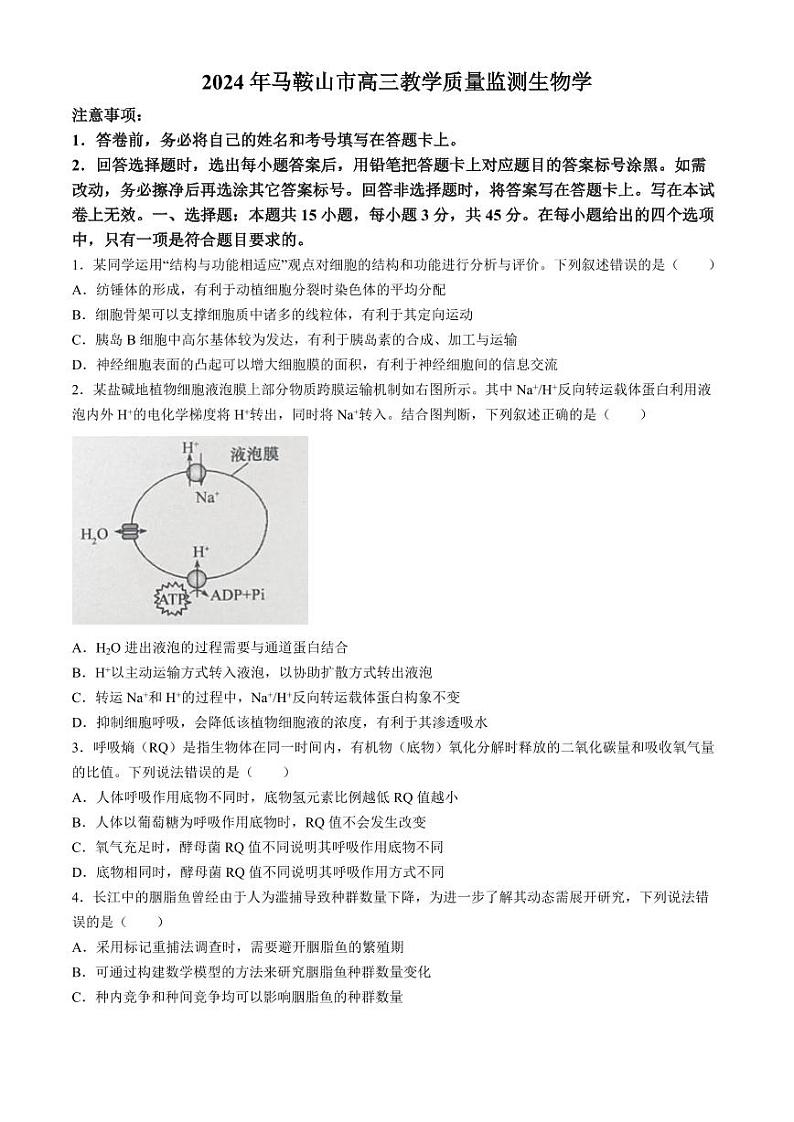 2024届安徽省马鞍山市高三教学质量监测（三模）生物试题+答案01
