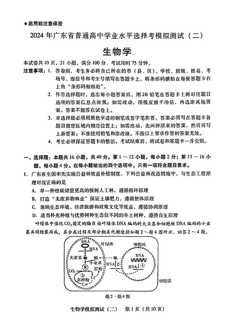 2024届广东省高三下学期4月二模考试-生物学+答案01