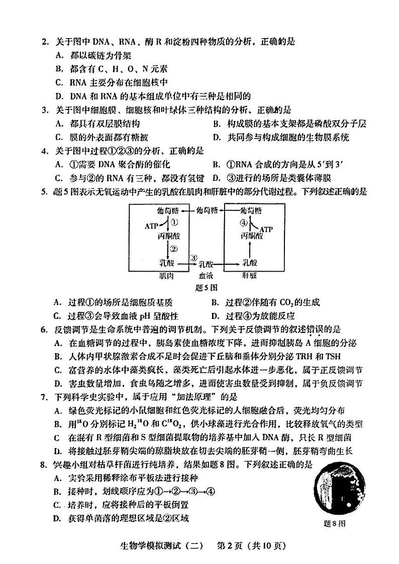 2024届广东省高三下学期4月二模考试-生物学+答案02