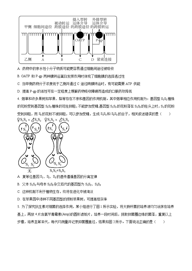 湖北省鄂西南三校2023-2024学年高二下学期3月联考生物试题无答案第2页